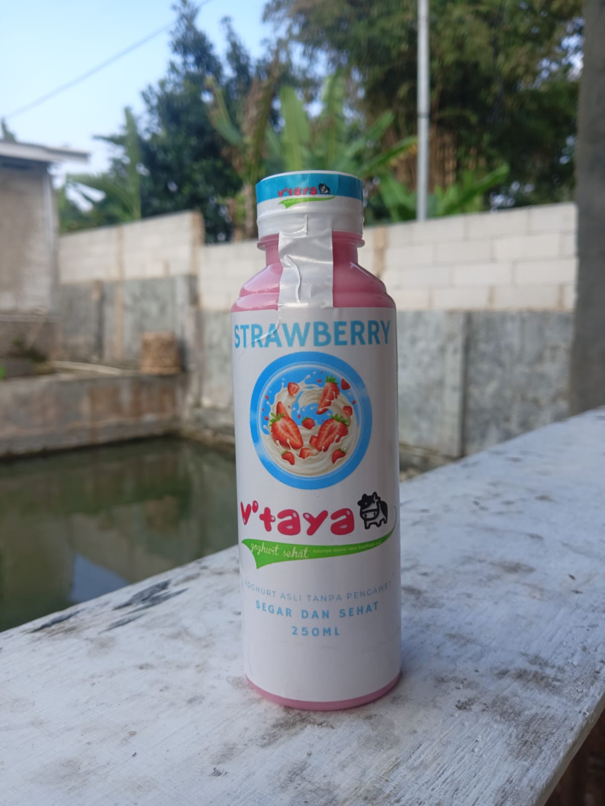 Yoghurt Strawberry Botol