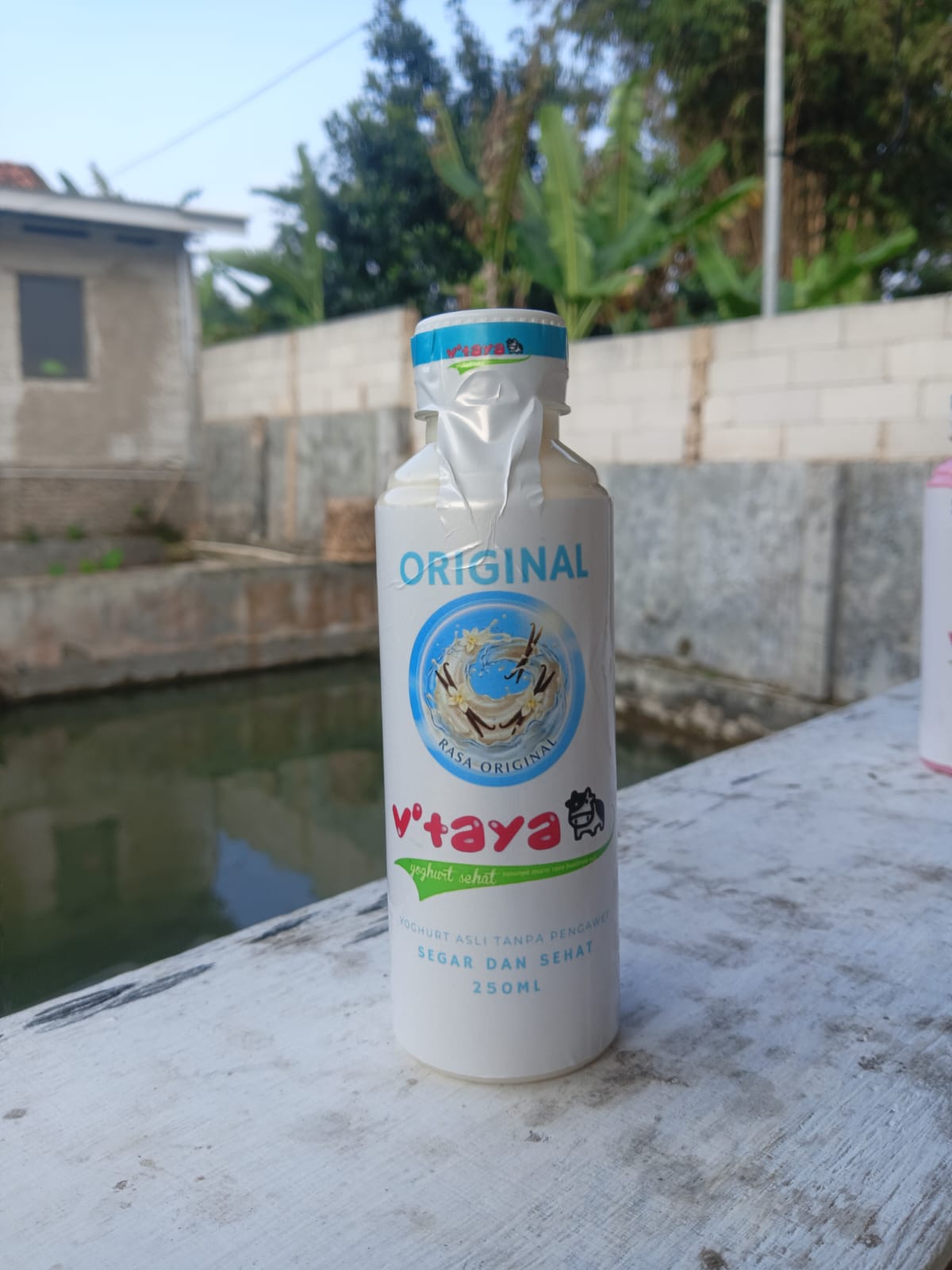 Yoghurt Original Botol